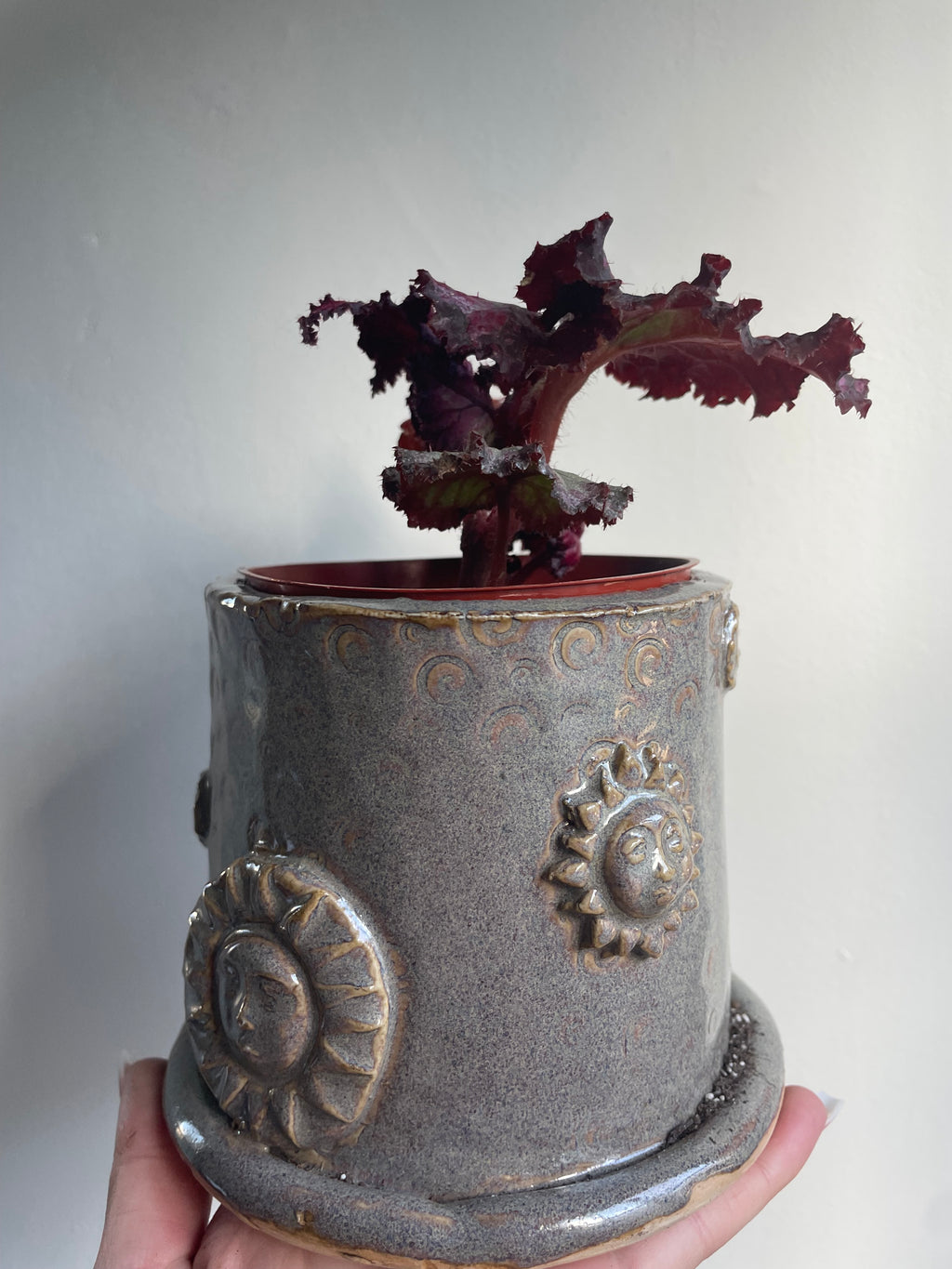 Begonia with handmade Pot