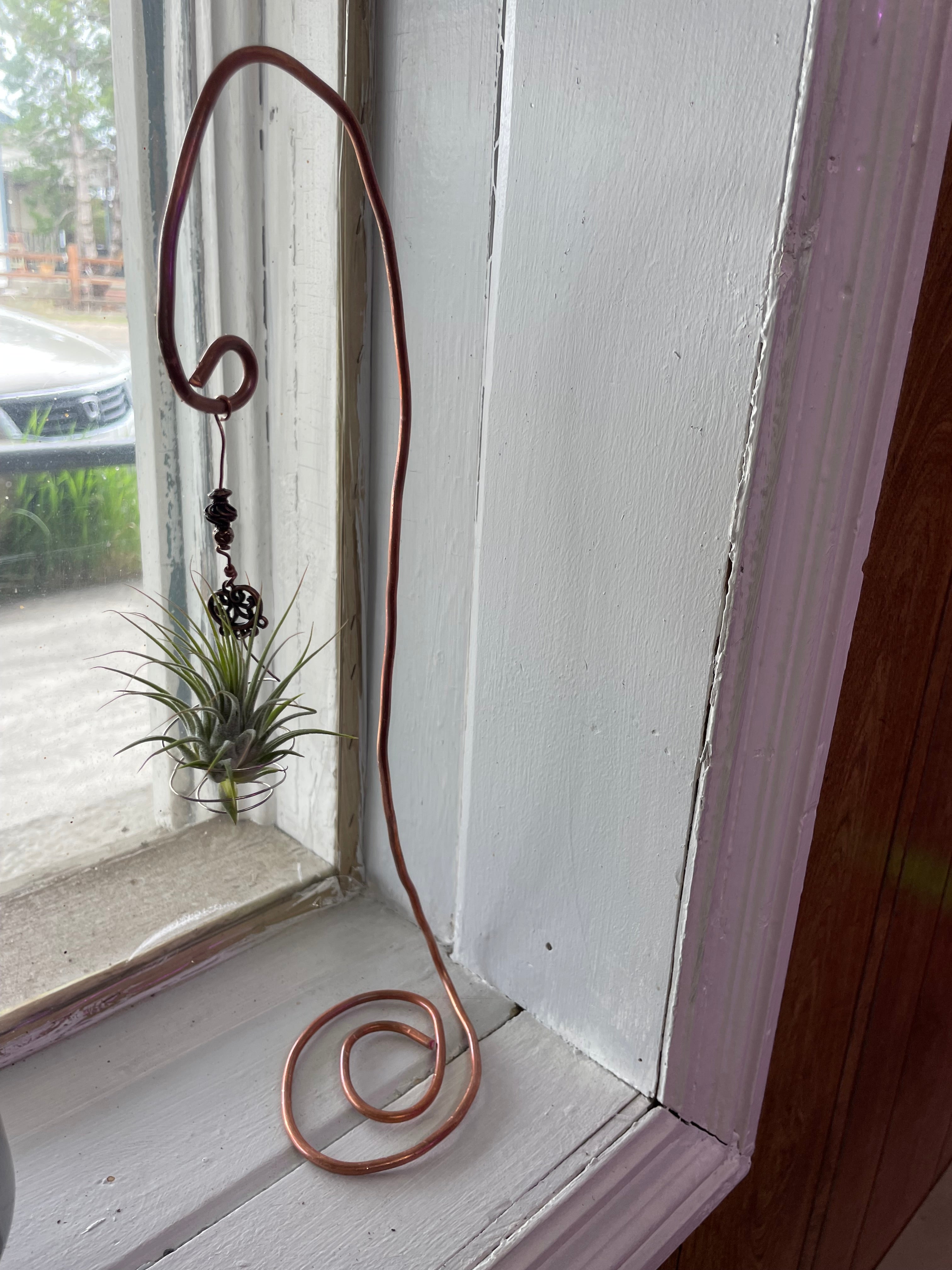 Small AirPlant Display