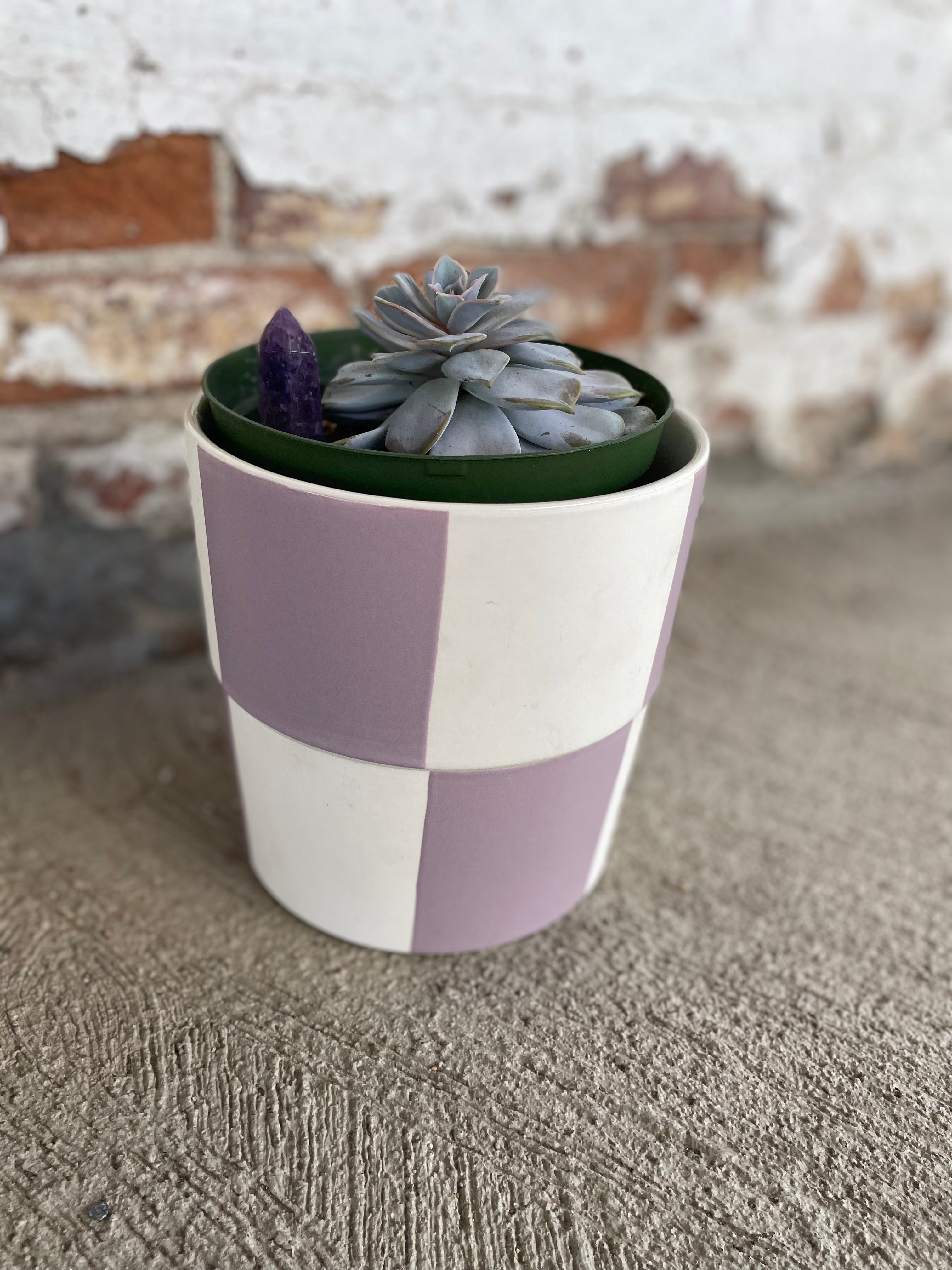 Amethyst Succulent