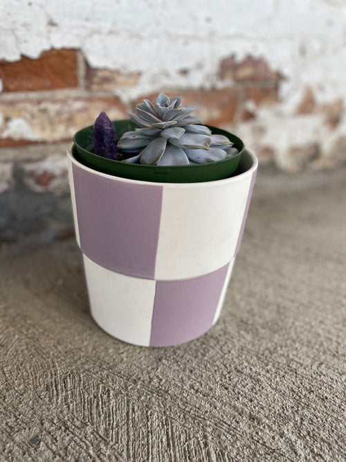 Amethyst Succulent
