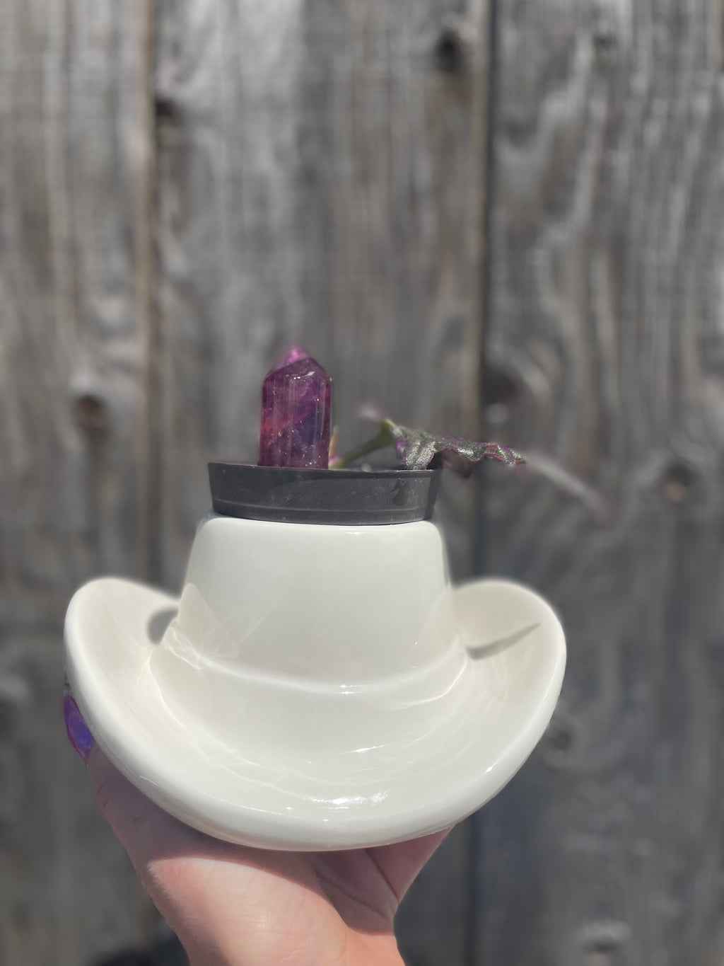 Cowboy Feather