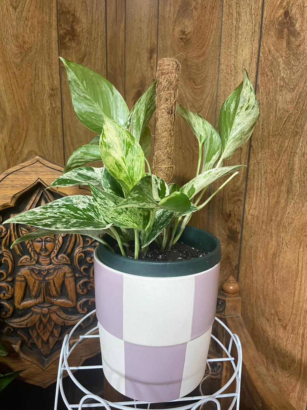 White Marble with Pot