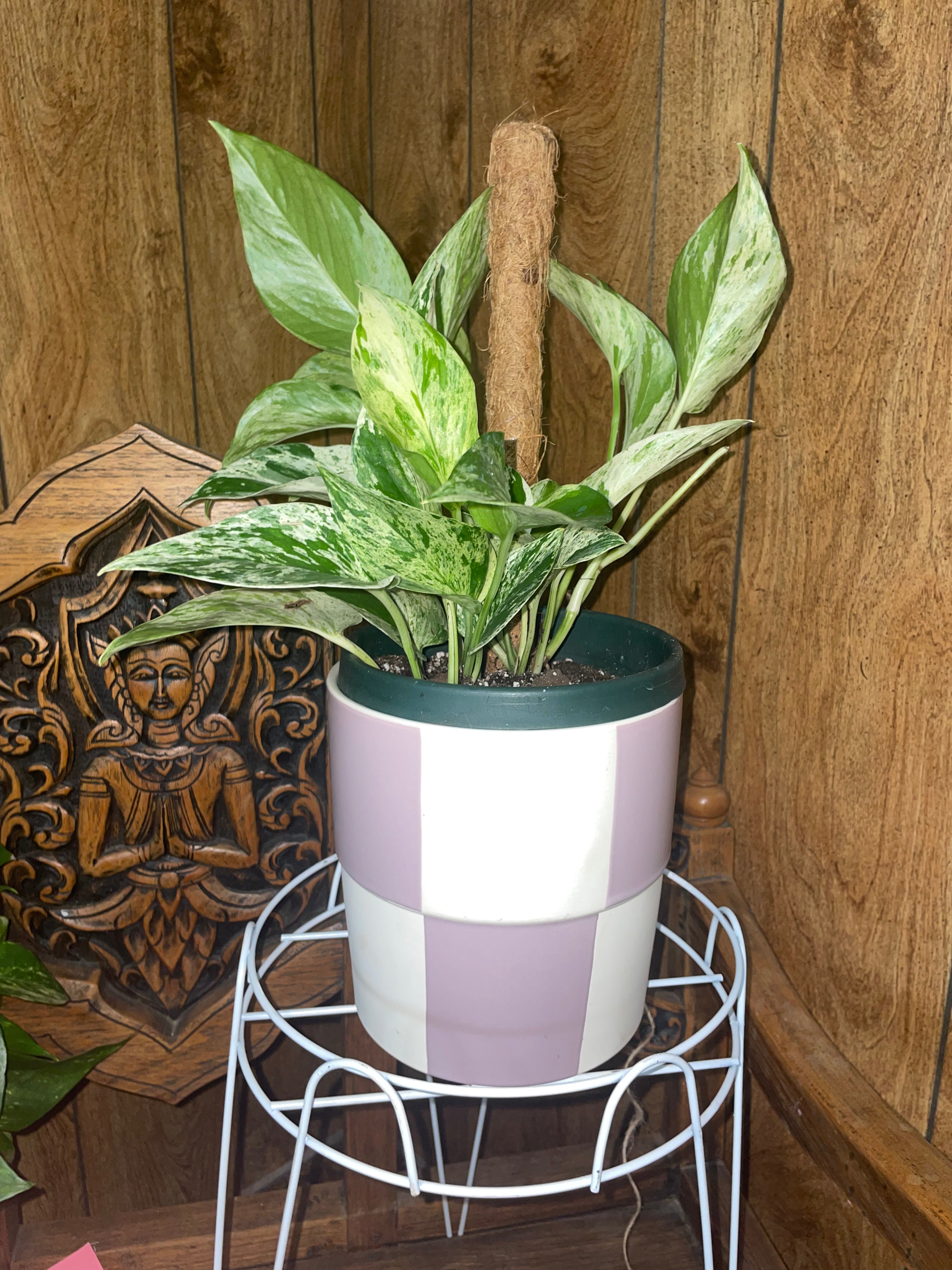 White Marble with Pot