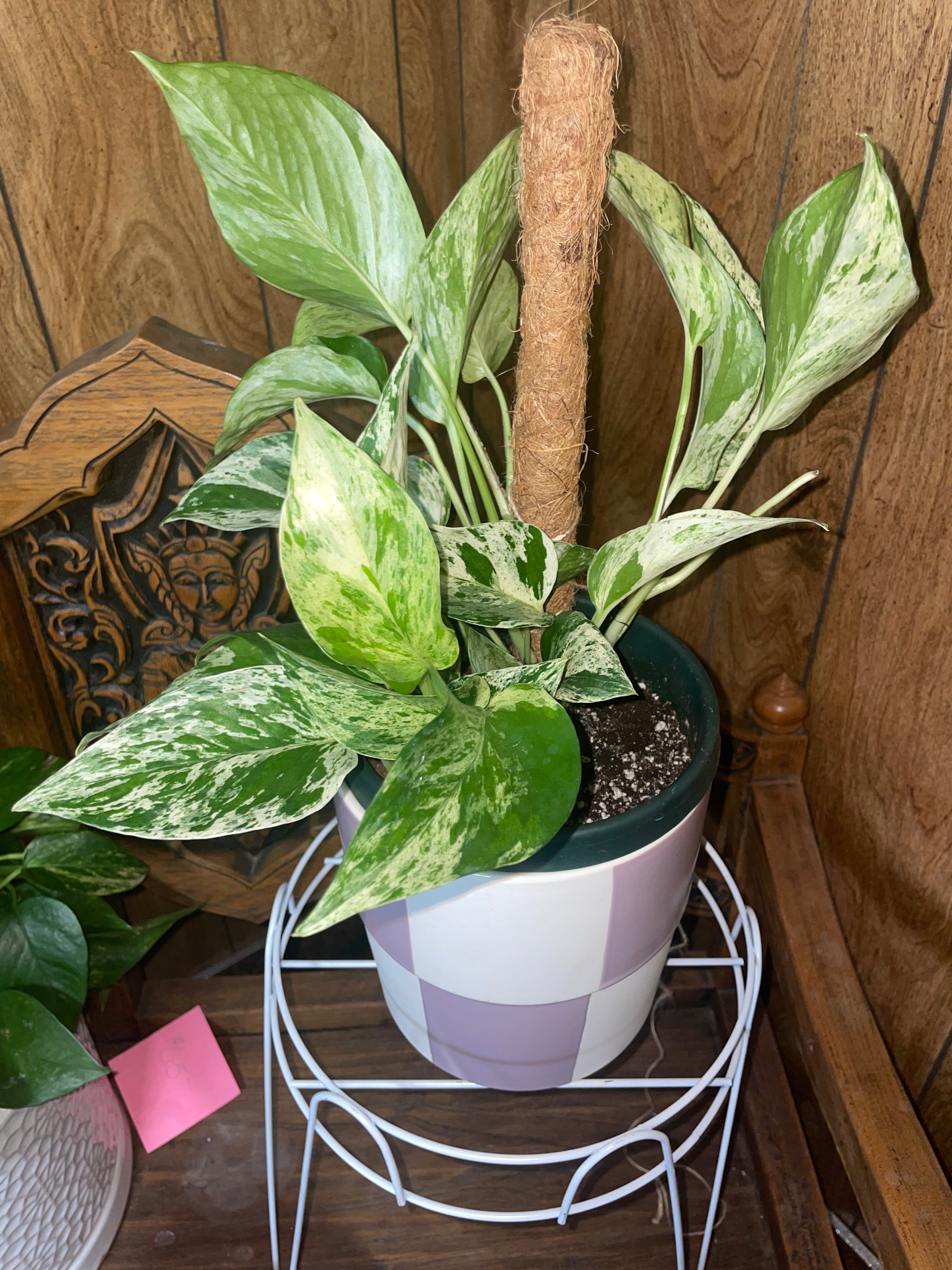 White Marble with Pot