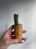 Buddha Succulent