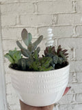 Bowl with stones and succulents