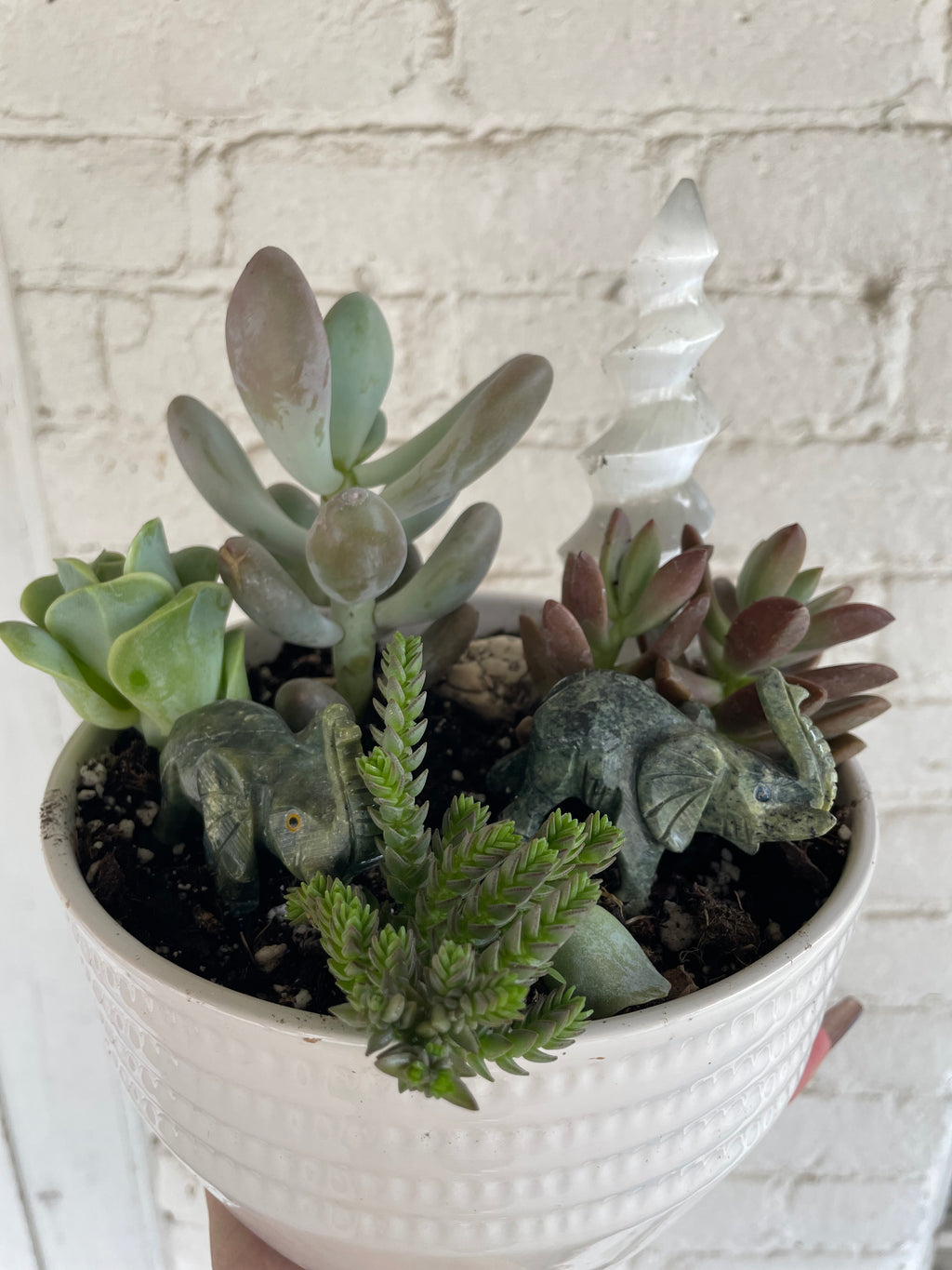 Bowl with stones and succulents