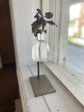 Propagation Station with Purple Passion