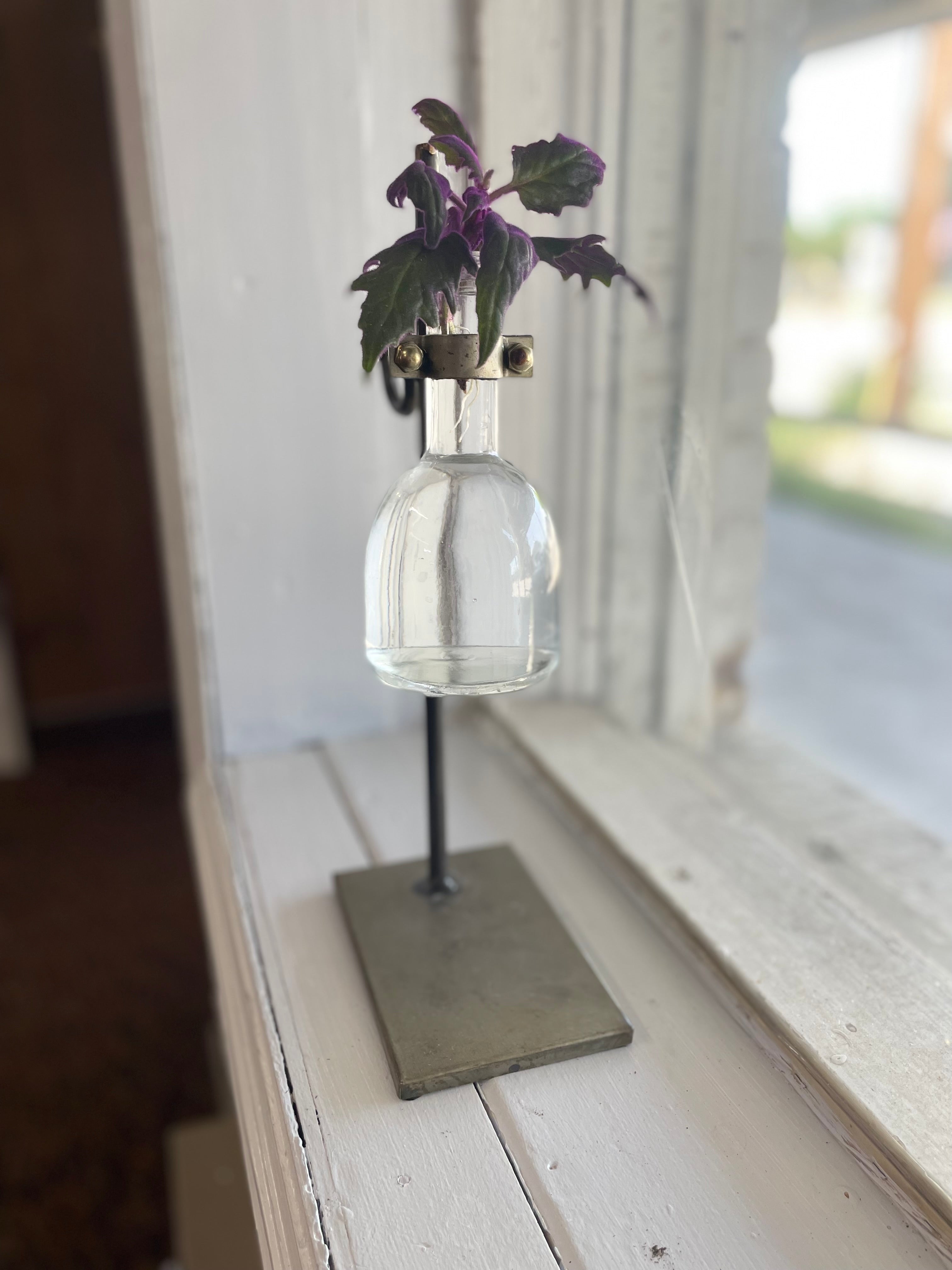 Propagation Station with Purple Passion